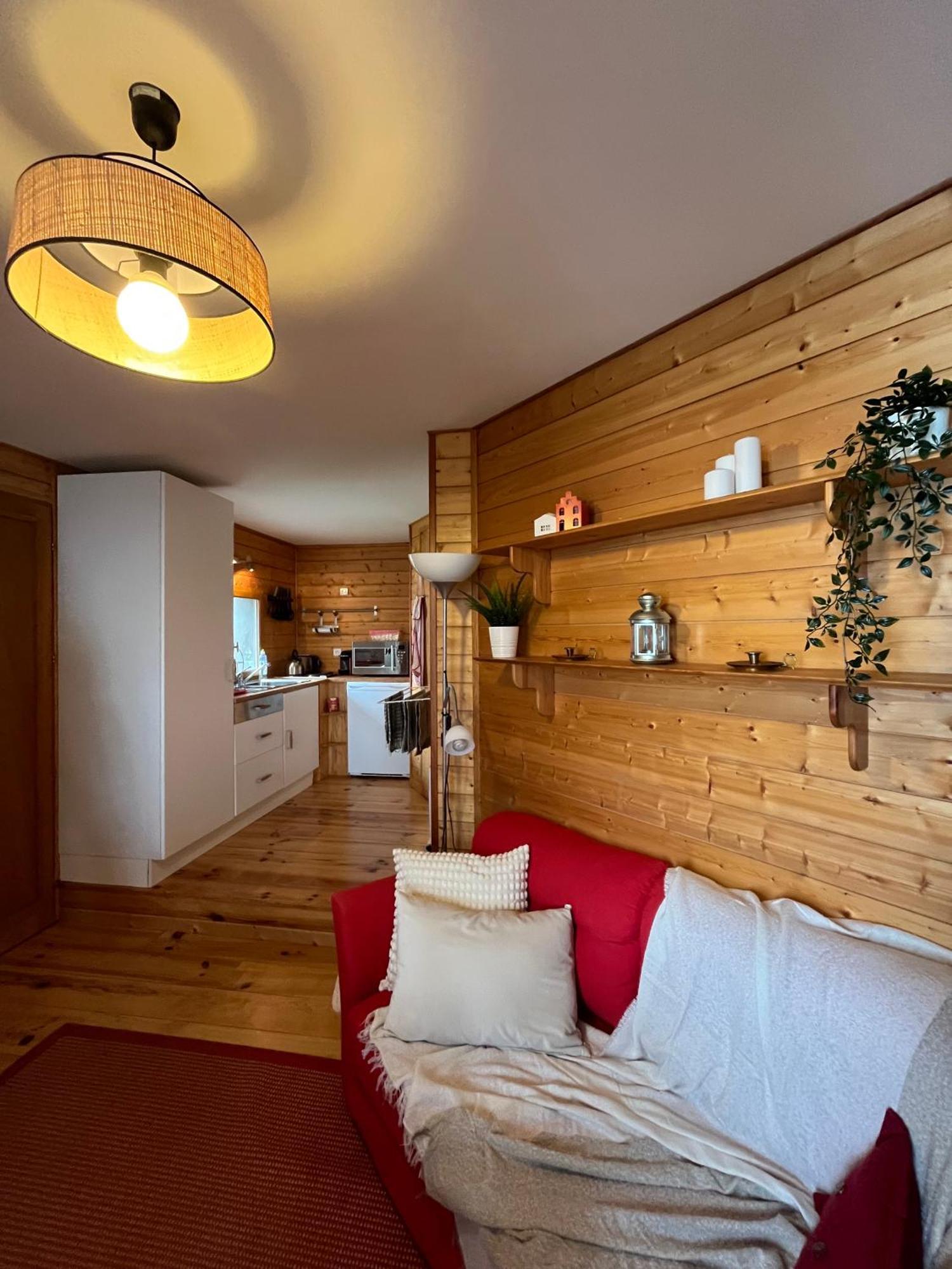 Chalet Des Myrtilles - Chalet Cosy Avec Vue Arette Bagian luar foto